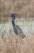 dsc01941_small.jpg