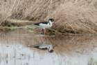 dsc01989_small.jpg