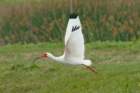 dsc02067_small.jpg