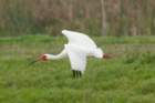 dsc02070_small.jpg
