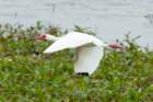 dsc02071_small.jpg