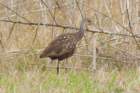 dsc02098_small.jpg