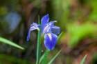 dsc02113_small.jpg