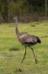 dsc02123_small.jpg