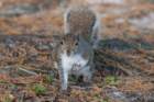 dsc02335_small.jpg