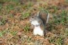 dsc02344_small.jpg