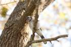dsc02350_small.jpg