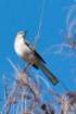 dsc02477_small.jpg