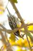 dsc02490_small.jpg