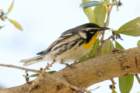 dsc02543_small.jpg