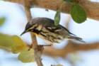 dsc02551_small.jpg