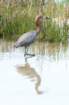 dsc02614_small.jpg