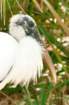 dsc02662_small.jpg