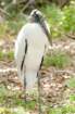dsc02665_small.jpg