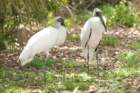 dsc02667_small.jpg
