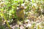 dsc02681_small.jpg
