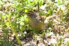 dsc02683_small.jpg