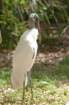 dsc02692_small.jpg