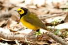 dsc02731_small.jpg