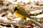 dsc02733_small.jpg