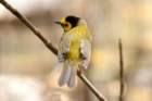 dsc02757_small.jpg