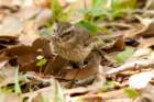 dsc02770_small.jpg