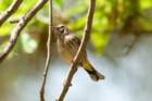 dsc02772_small.jpg