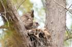 dsc02782_small.jpg