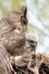 dsc02784_small.jpg