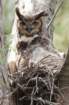 dsc02791_small.jpg