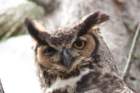 dsc02792_small.jpg