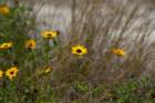 dsc02817_small.jpg