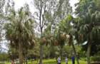 dsc00072a_small.jpg