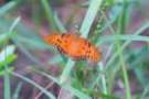 dsc04303_small.jpg