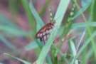 dsc04313_small.jpg