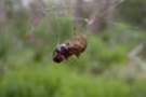 dsc04326_small.jpg