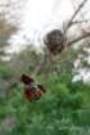 dsc04354_small.jpg