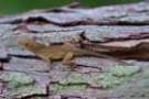 dsc04357_small.jpg