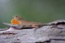 dsc04361_small.jpg