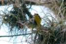 dsc04394_small.jpg