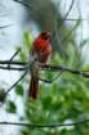 dsc04401_small.jpg