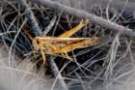 dsc04409_small.jpg