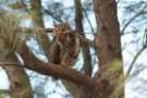 dsc04456_small.jpg