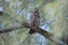 dsc04462_small.jpg