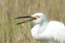dsc04500_small.jpg