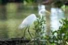 dsc04521_small.jpg