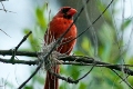 2010-08-07_ft_desoto_park_index.jpg