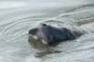 dsc04611_small.jpg