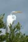 dsc04623_small.jpg