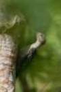 dsc04637_small.jpg